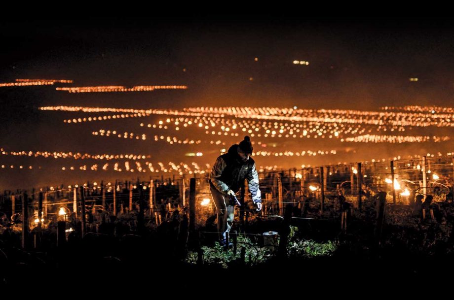 Wine Tasting - Nuits Saint Georges dec282.burgundy 2021.gettyimages 1239738886 credit jeff pachoud afp via getty images 920x609